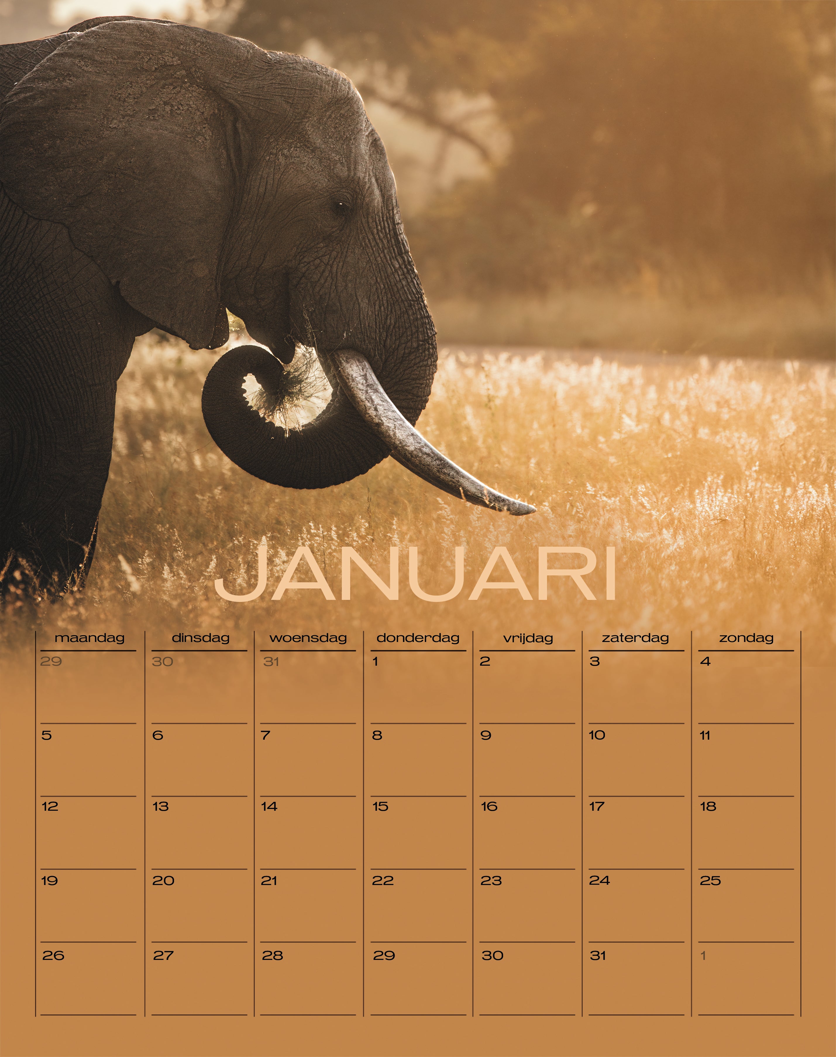 Wildlife Kalender 2026