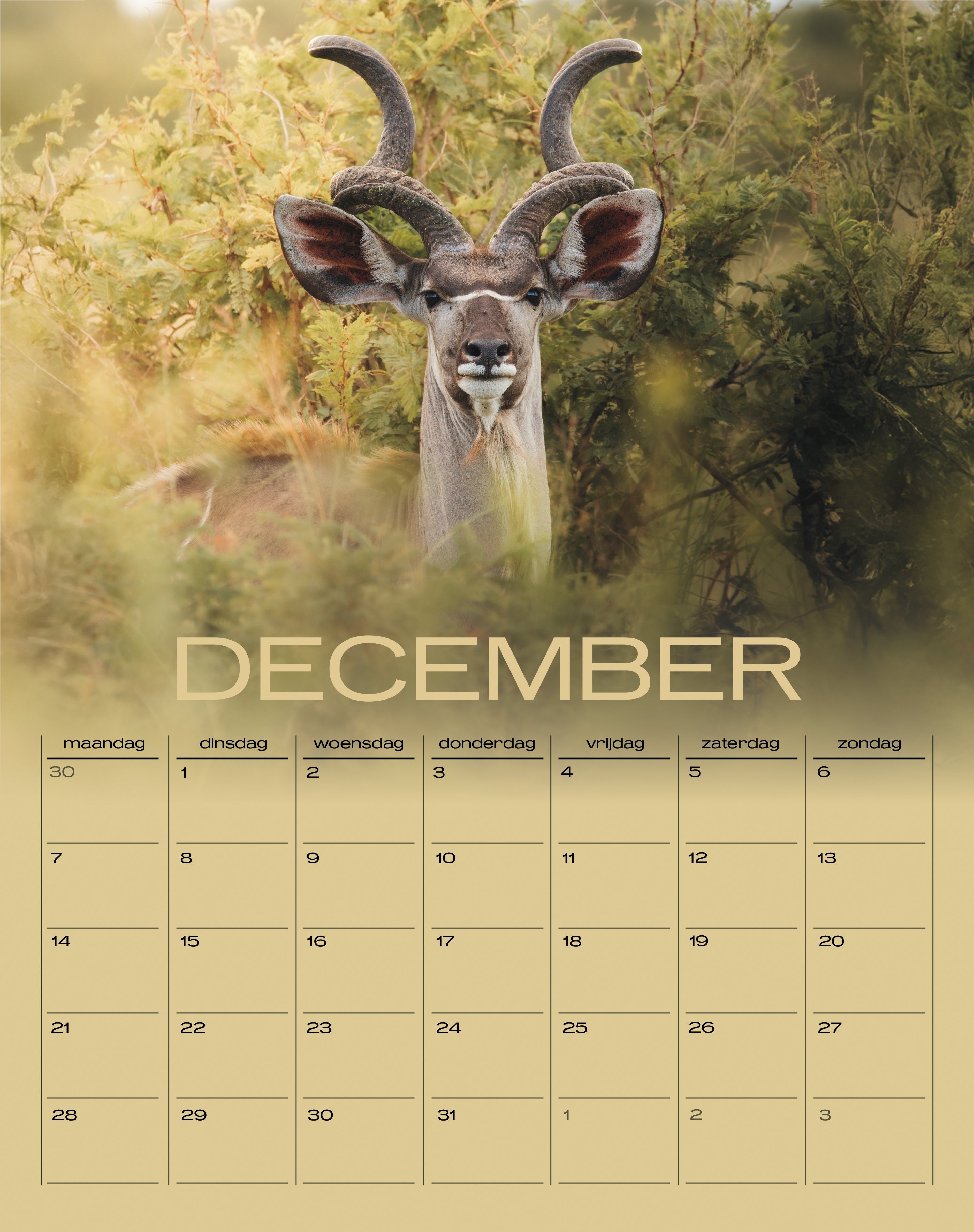 Wildlife Kalender 2026