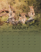 Wildlife Kalender 2026