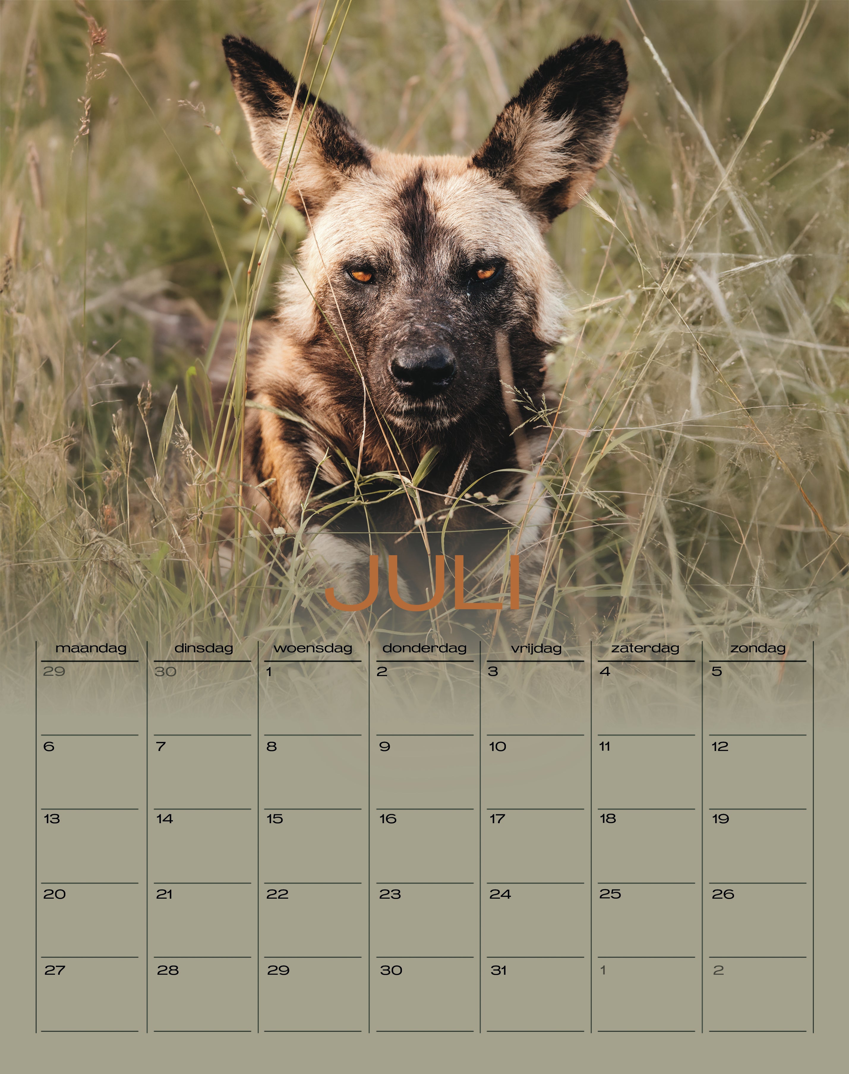 Wildlife Kalender 2026
