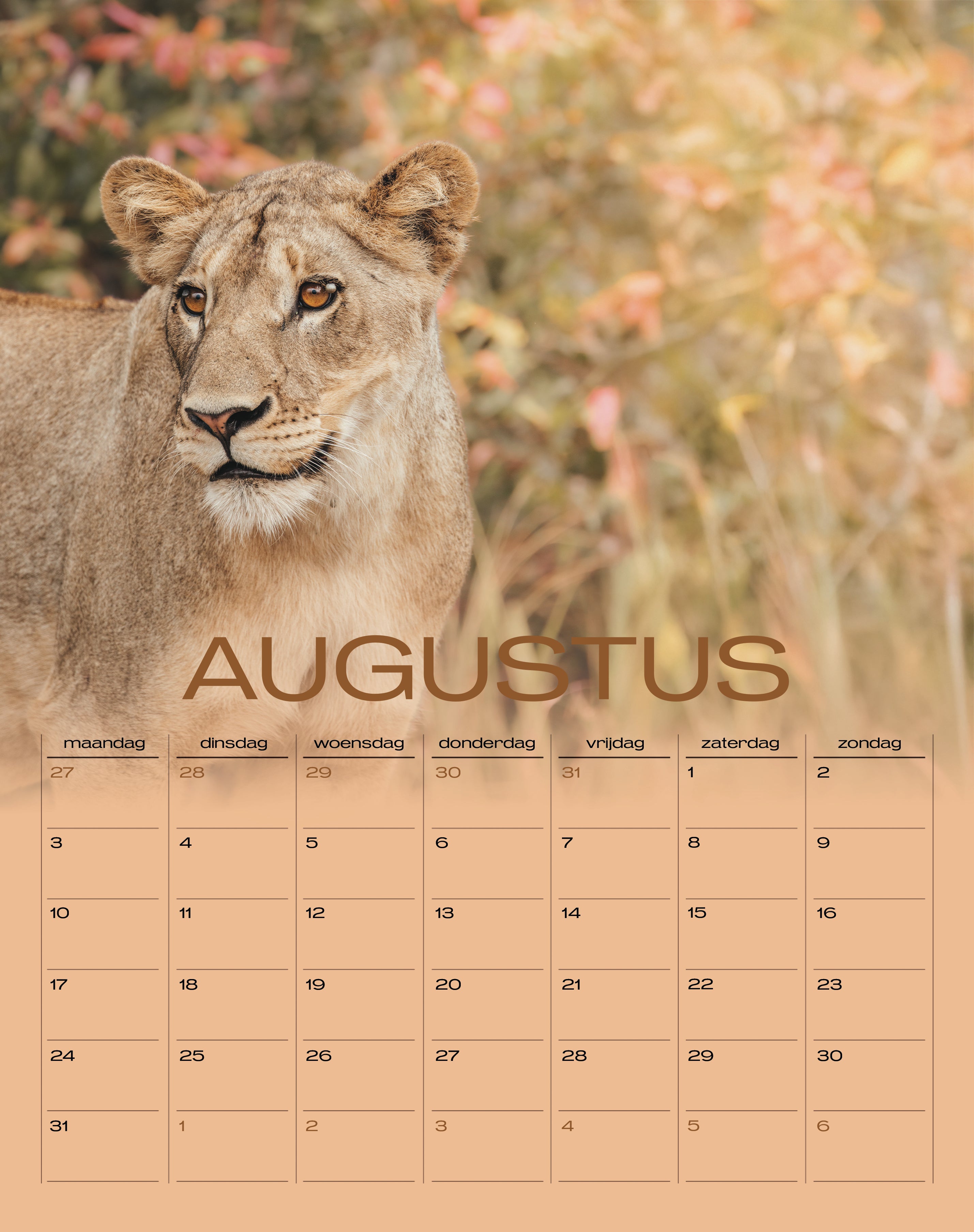 Wildlife Kalender 2026