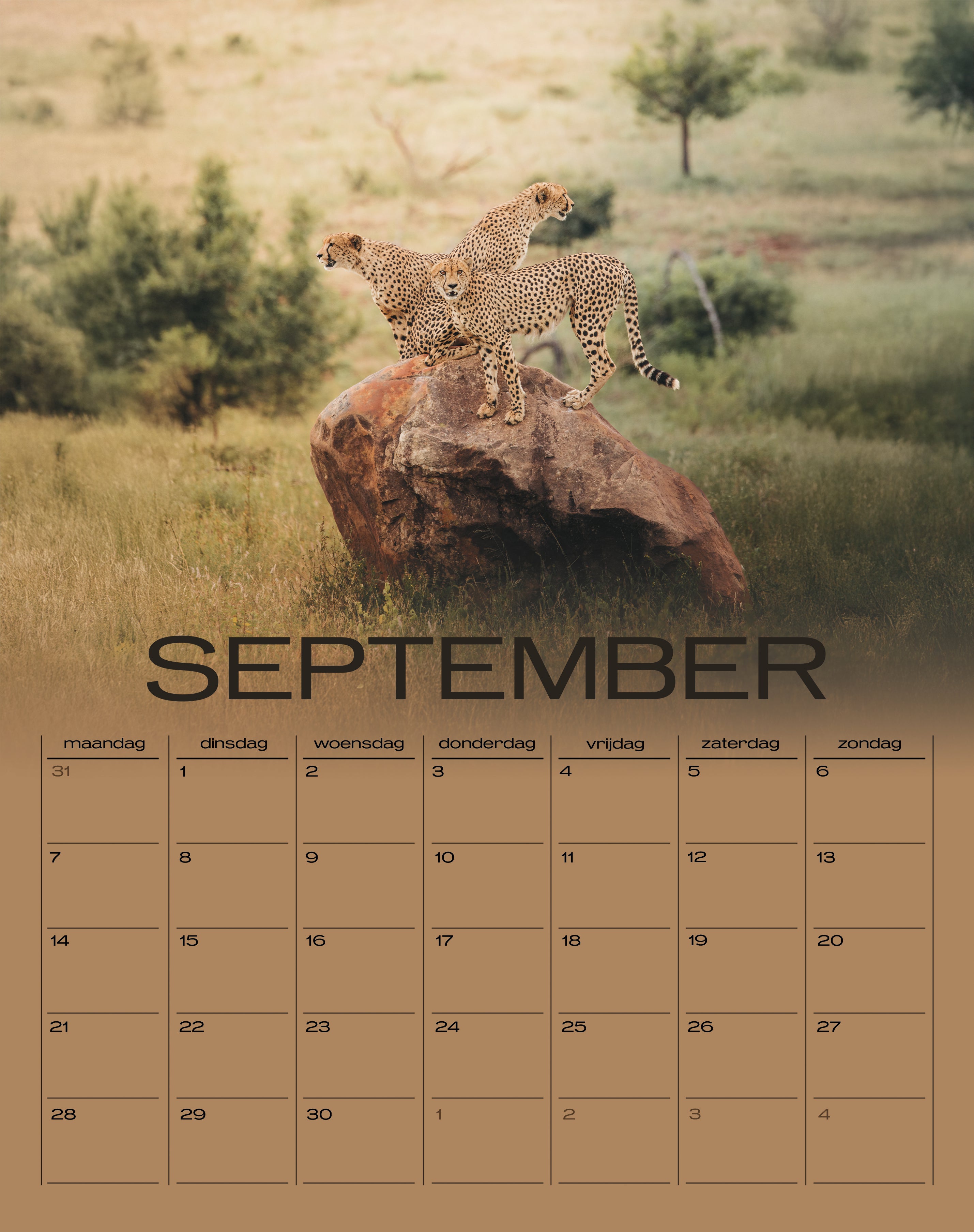 Wildlife Kalender 2026