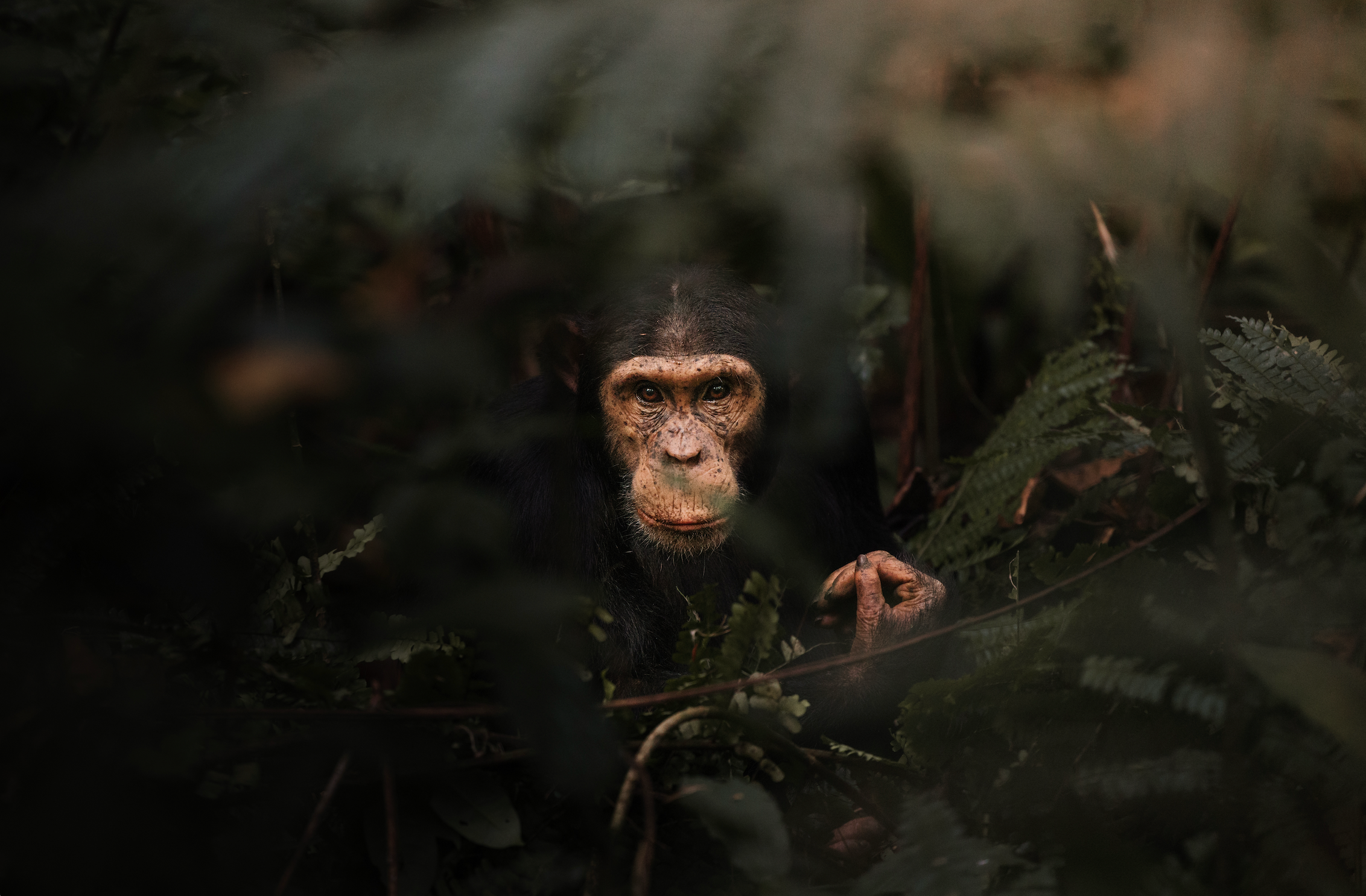 Always looking at you